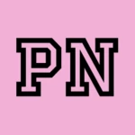 pink nation android application logo